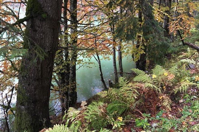 1 Day 4x4 Tour in Carpathian Mountains - How the price compares with the experience
