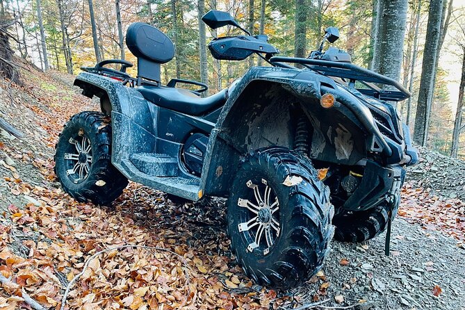 1 Day ATV Tour in Carpathian Mountains - Who should book this Carpathian day trip?