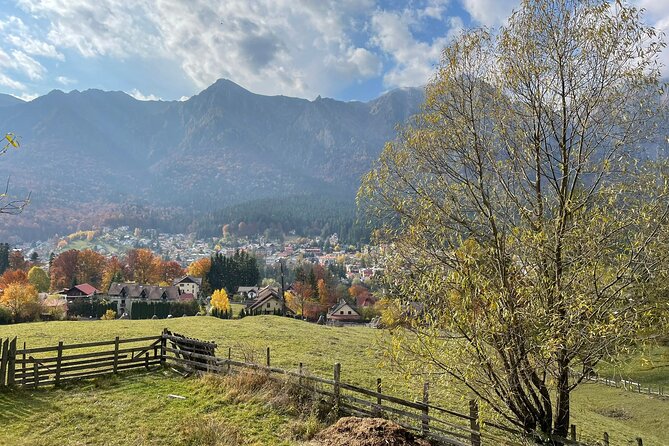 1 Day ATV Tour in Carpathian Mountains - Should you book it?