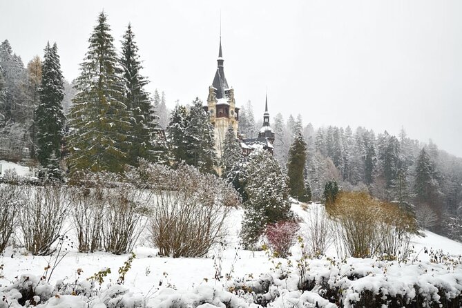 1 Day Castles Tour - Sinaia and Bran - What the guide adds to the day