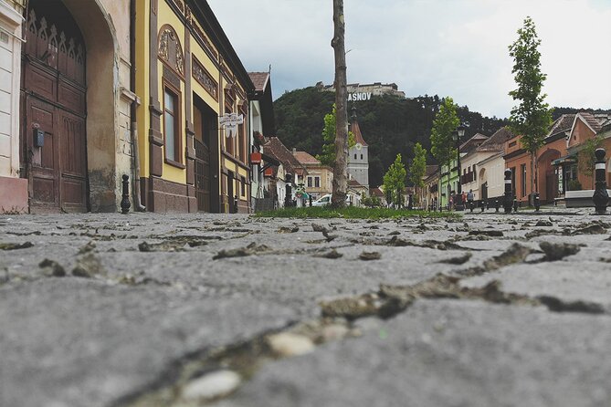 10-Day Private Tour of Romania with Pick Up - Bukovina’s painted monasteries