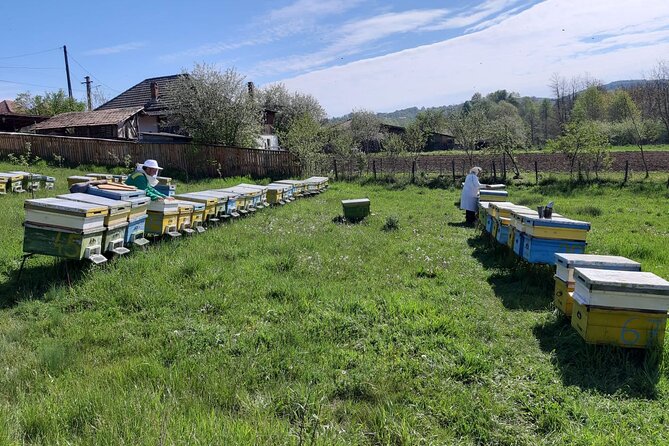 10 hours Private Apiary Tour in Romania - From Bucharest - Is $290.89 per person good value?