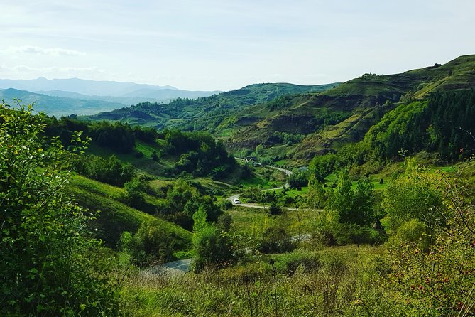 11-Day Romania Tour from Bucharest with Transylvania & Bucovina - Steam railway and the Merry Cemetery