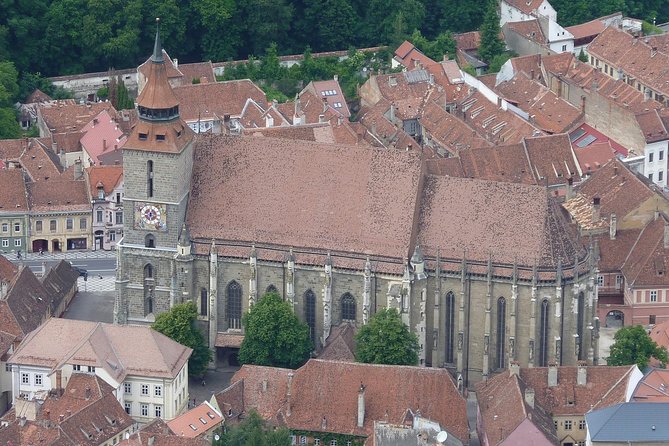 2-Day Small-Group Tour to Dracula's Castle, Rasnov Fortress, Peles Castle, Sighisoara and Libearty Brown Bear Sanctuary with Overnight in Brasov - Sighișoara: the best town for wandering
