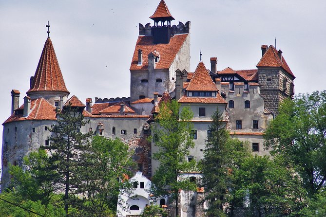 4-Day Private Tour in Transylvania from Bucharest - Day two: Viscri and the medieval citadel of Sighisoara