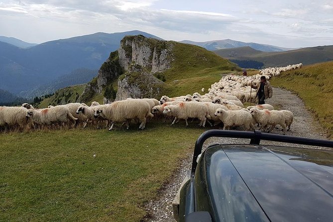 4x4 Driving Experience at Flying Altitudes - 7 Days - Day 3: Zarnesti Gorge, Magura, and Fundatica