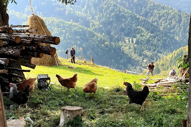4x4 Driving Experience at Flying Altitudes - 7 Days - Day 4: The Transfagarasan and Balea Lake