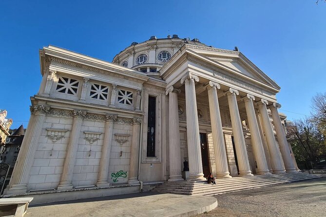 5h Bucharest City Tour by Car/Minivan – Small Group max 7 people - Văcărești Natural Park, Bucharest’s unexpected wild side
