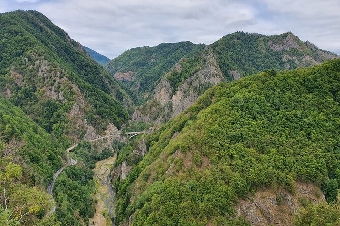 6 Days Private Tour in Romania Spectacular Places from Bucharest - Turda Salt Mine and Cluj-Napoca