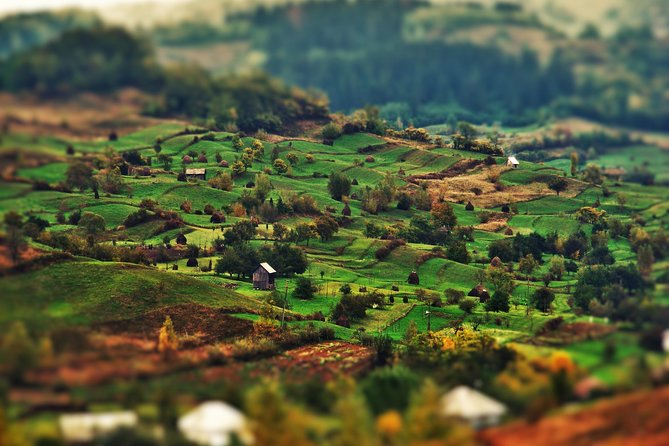 A Journey Back in Time: Countryside from Transylvania and Maramures - 15 Days - Who should book this Romanian journey?