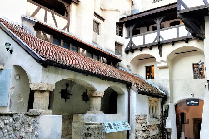 Bear Sanctuary and Dracula's Castle, 1-day Private Tour - What private guiding adds to the day