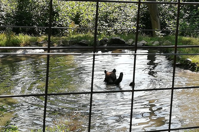Bear Sanctuary and Dracula's Castle, 1-day Private Tour - Is $276.04 per person fair?