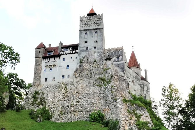 Bear Sanctuary and Dracula's Castle, 1-day Private Tour - Should you book it?
