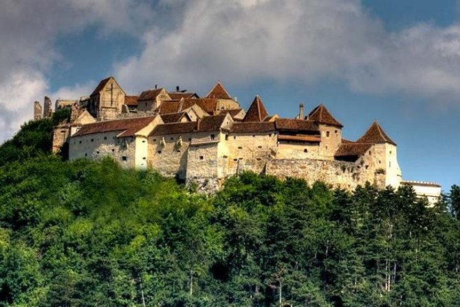 Bear Sanctuary & Rasnov Fortress - Private day tour from Bucharest - The cost: what $184.62 per person buys you