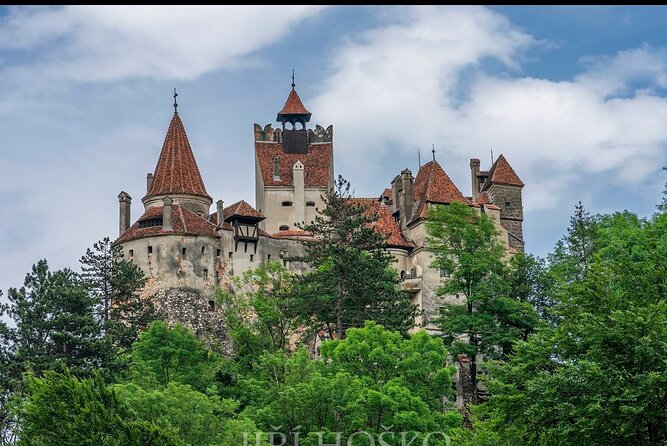Bears Sanctuary, Dracula's Castle and Brașov City - Private Tour - From Bucharest to the Carpathian foothills