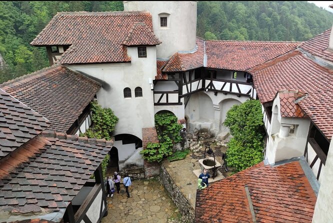 Bears Sanctuary, Dracula's Castle and Brașov City - Private Tour - Bran Castle beyond the Dracula label