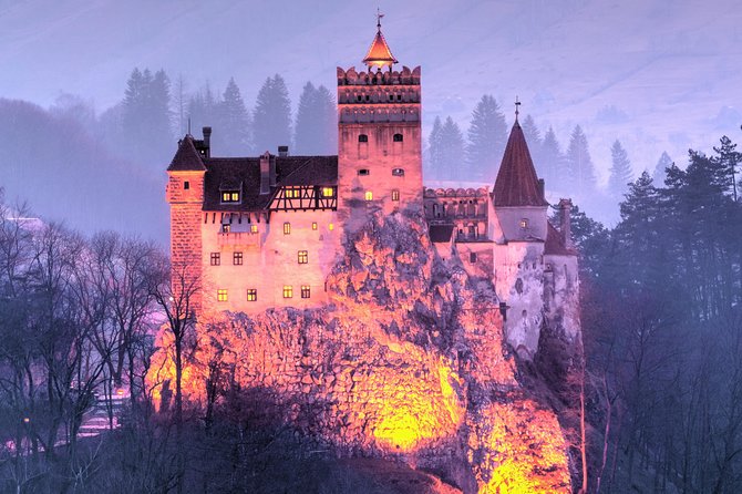 Bears Sanctuary, Dracula's Castle, Brasov Day Trip Private Tour from Bucharest - How the timing and transport affect the experience