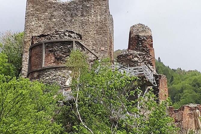Bears Sanctuary, Dracula's Castle, Brasov Day Trip Private Tour from Bucharest - Who should book this experience