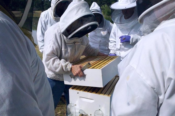 Beekeeping Day Trip| Private Guided Tour from Bucharest - From Bucharest to the bees in Valcea County