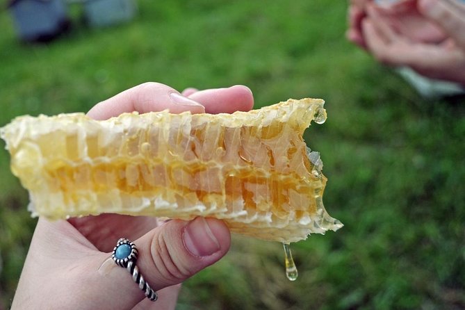 Beekeeping Day Trip| Private Guided Tour from Bucharest - Watching the harvesting process in real conditions
