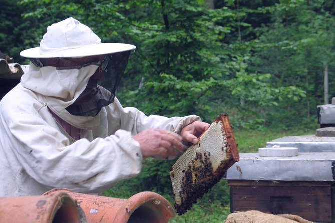 Beekeeping Day Trip| Private Guided Tour from Bucharest - A traditional Romanian lunch from ecological sources
