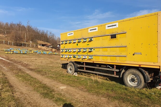Beekeeping Day Trip| Private Guided Tour from Bucharest - What the private format adds to the day