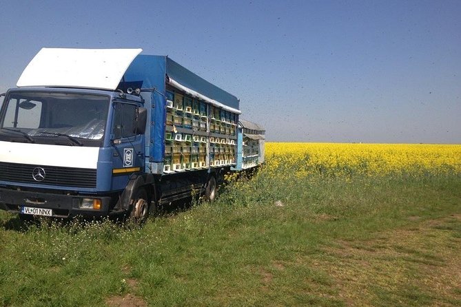 Beekeeping Day Trip| Private Guided Tour from Bucharest - Should you book the apiary day from Bucharest?