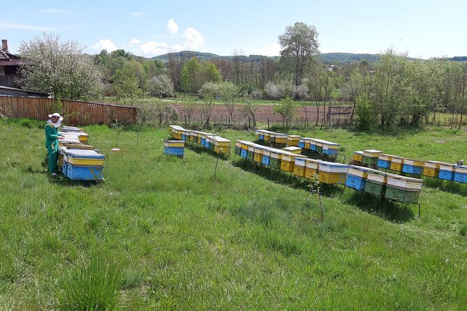 Beekeeping Day Trip| Private Guided Tour from Bucharest - Learning how a hive works before honey is harvested