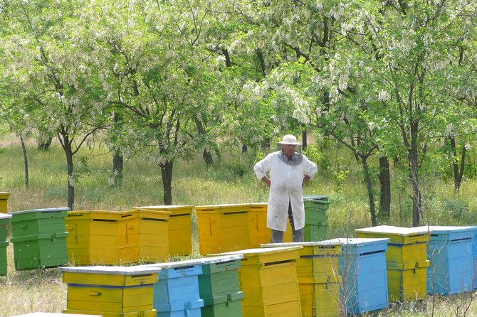Bees Adventure in Romania - Private Day Trip from Bucharest - Key points to know before booking