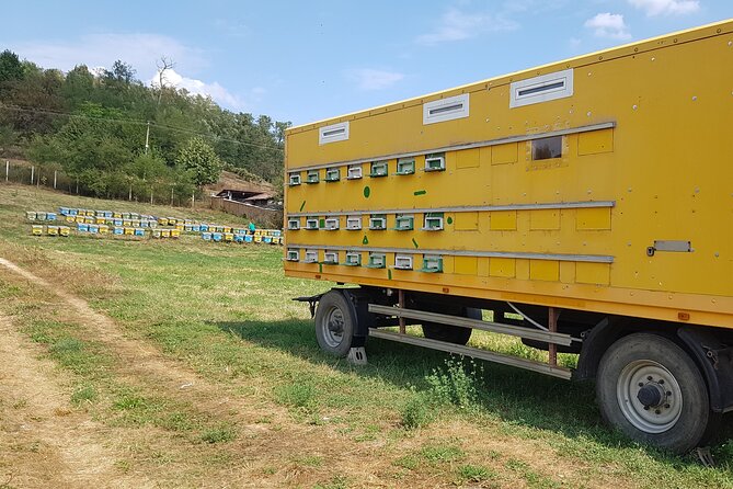 Bees Adventure in Romania - Private Day Trip from Bucharest - A traditional Romanian lunch from ecological sources