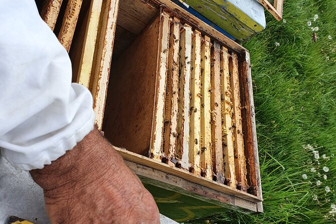 Bees Adventure in Romania - Private Day Trip from Bucharest - Meeting Nicolas and his father at the family apiary
