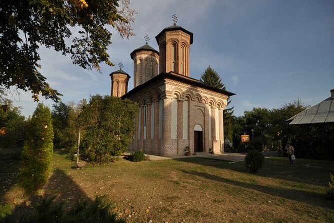 Bison Sanctuary, Vlad the Impaler Princely Court & Dracula Grave - Should you book the bison and Dracula combination?