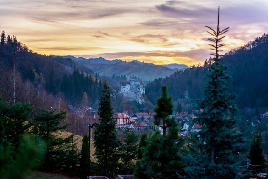 Bucharest: Bran Castle and Bear Sanctuary Small-Group Tour - Key points at a glance