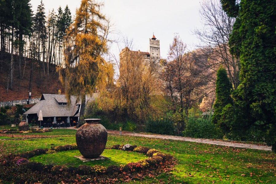 Bucharest: Bran Castle and Bear Sanctuary Small-Group Tour - Libearty Bear Sanctuary: the heart of the day