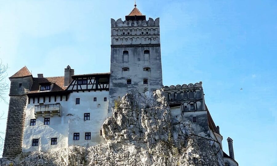 Bucharest: Bran Castle and Bear Sanctuary Small-Group Tour - Lunch, photos, and time to breathe