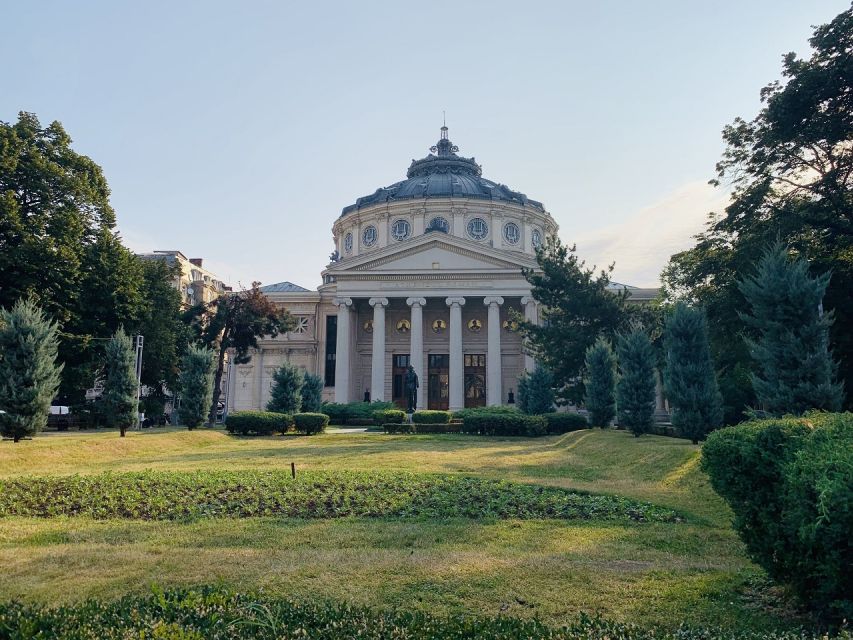 Bucharest City Tour and Wine Tasting - A modern wine bar and Romanian cheese