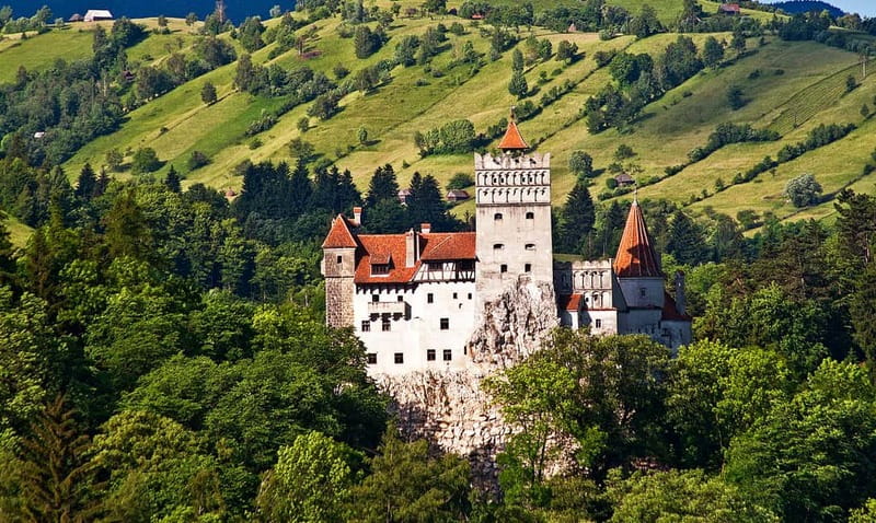 Bucharest: Day Trip to Bear Sanctuary, Bran Castle & Brasov - Why the bear sanctuary is the real reason to go
