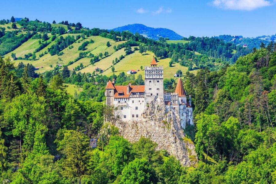 Bucharest: Day Trip to Dracula Castle, Peles Castle & Brașov - Guide quality and language support