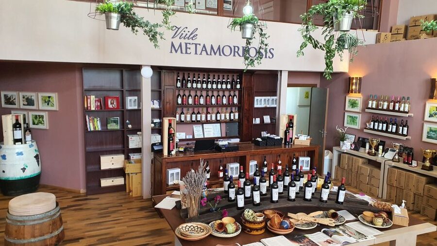 Bucharest: Dealu Mare Winery Private Trip with Wine Tasting - Should you book the Dealu Mare wine trip?