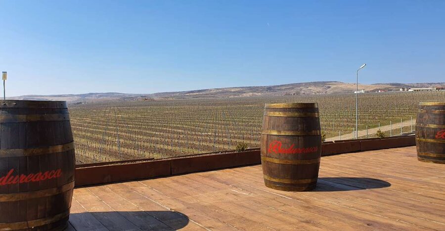 Bucharest: Dealu Mare Winery Private Trip with Wine Tasting - Why Dealu Mare makes a good day trip from Bucharest