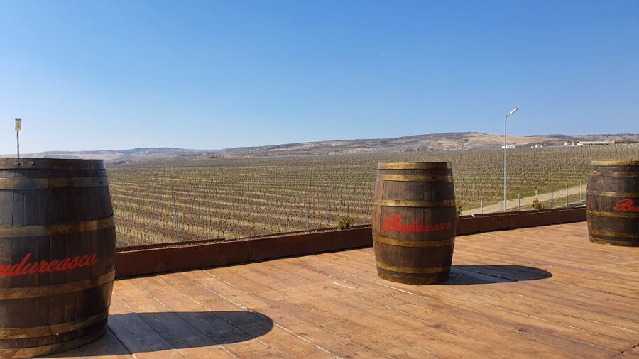 Bucharest: Dealu Mare Winery Private Trip with Wine Tasting - First winery: meet the producer behind the bottle