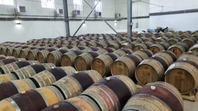 Dealu Mare Winery Private Trip with Wine Tasting