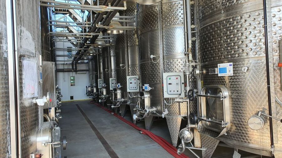 Bucharest: Dealu Mare Winery Private Trip with Wine Tasting - What the wine tasting is really like