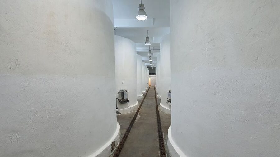 Bucharest: Dealu Mare Winery Private Trip with Wine Tasting - Who will enjoy this experience most