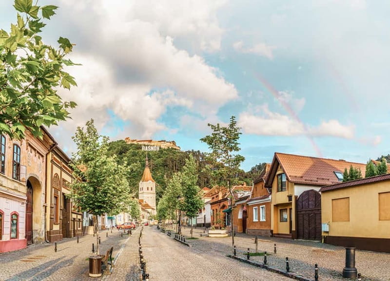 Bucharest: Dracula's Castle, Peleș Castle & Brașov Day Trip - What the guides add to the experience
