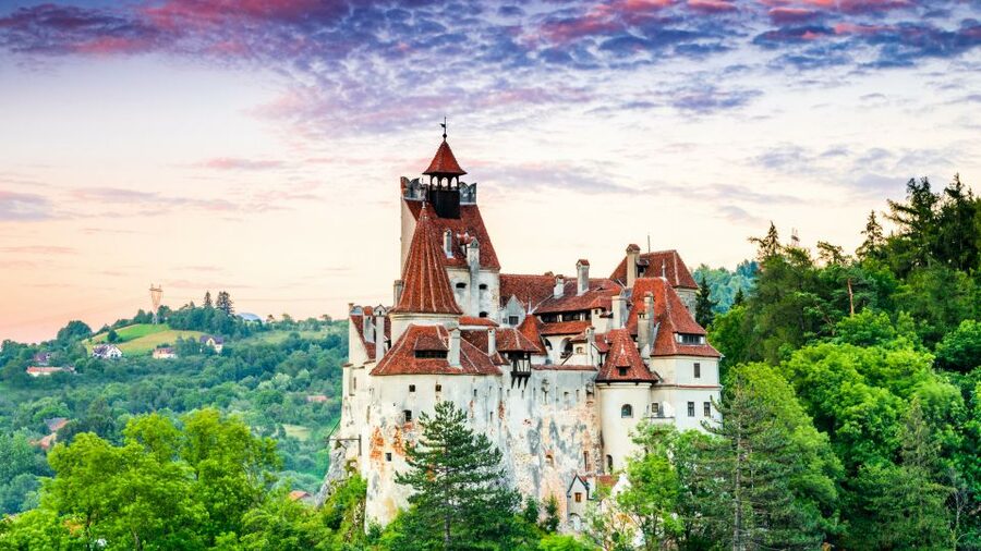 Bucharest: Dracula's Castle, Peles Castle, & Brasov Old Town - Who should book this tour?