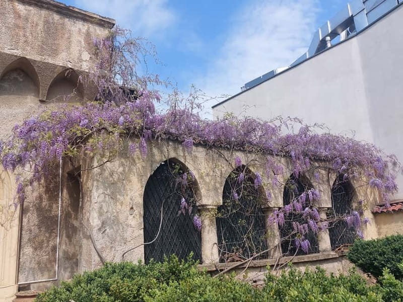 Bucharest: Hidden Gems 2.5-Hour Walking Tour - Mantuleasa Street and Mircea Eliade