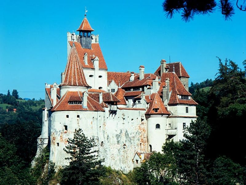 Bucharest: Peles Castle, Dracula's Castle and Brasov Tour - Peleș Castle and the royal mountain setting