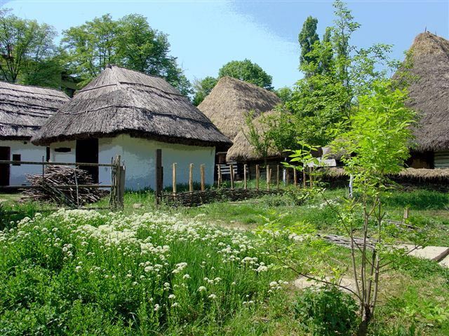 Bucharest: Private City Tour Guided Experience - Key points at a glance