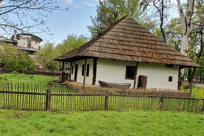 Bucharest Private Tour with Dracula's Grave and Ceaușescu Mansion - A six-hour Bucharest tour with a sharp change of mood